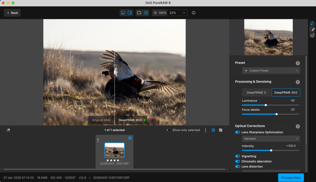 Screenshot of the Tools Available Within PureRAW 6