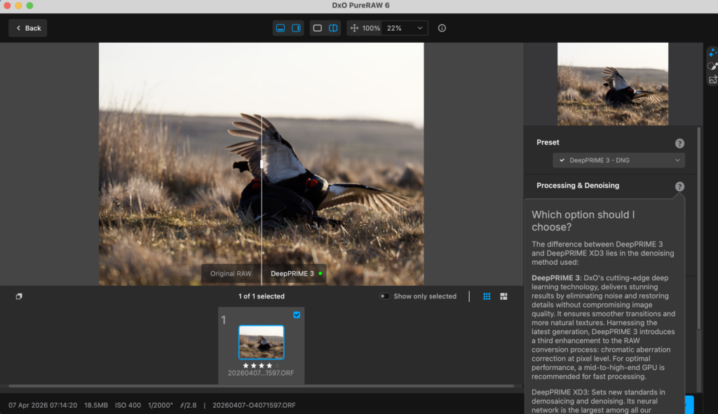 Screenshot of choosing DeepPRIME 3 or DeepPRIME XD3 within PureRAW 6